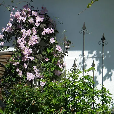 Apartamento Ferienhaus Seeblick